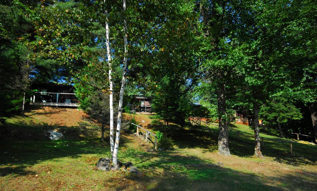 The Pines Cottage Resort Oxtongue Lake Экстерьер фото