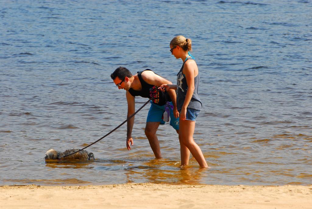 The Pines Cottage Resort Oxtongue Lake Экстерьер фото
