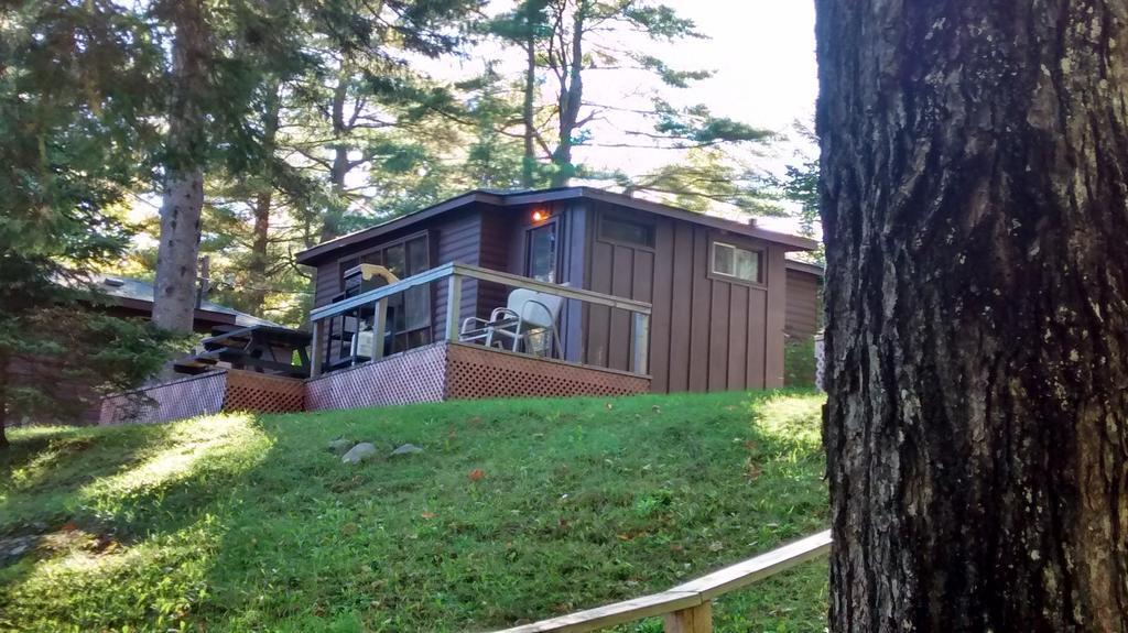The Pines Cottage Resort Oxtongue Lake Номер фото